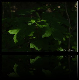 a002